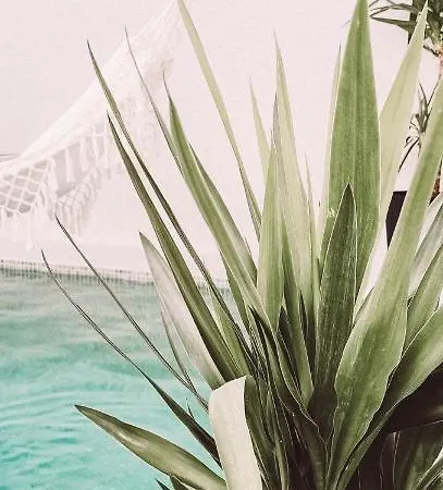 With Private Pool Apartament *