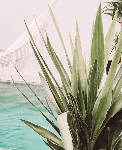 With Private Pool Appartement *