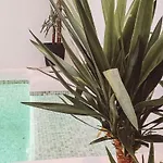 With Private Pool 公寓 龙达