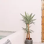 With Private Pool *