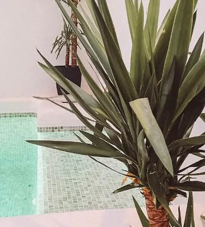 With Private Pool Apartment Ronda