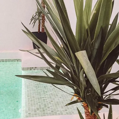 With Private Pool * 龙达