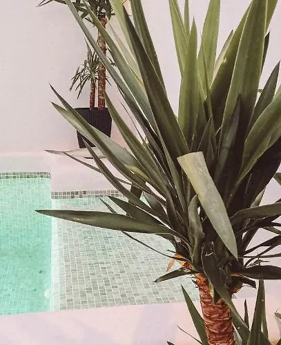 With Private Pool Apartamento Ronda